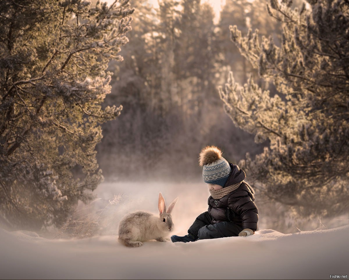Красивые зимние фото Елены Шумиловой