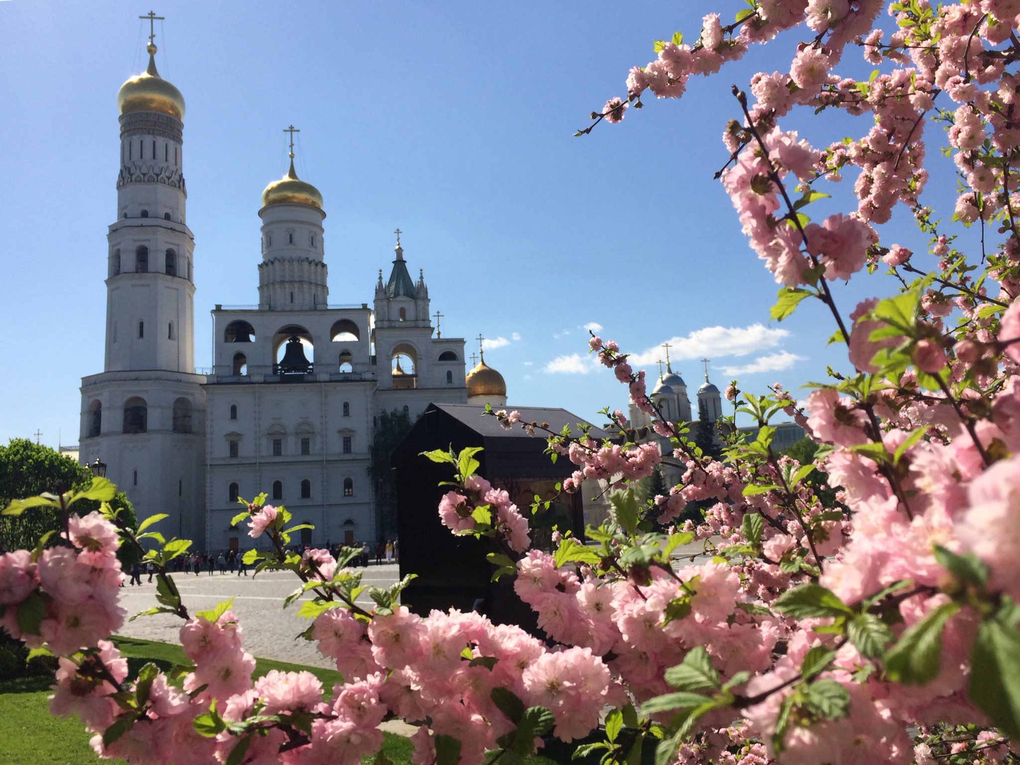 Красивая Весна в Москве
