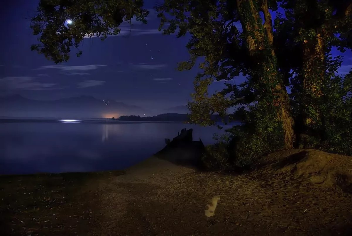 Night lake. Ночное озеро. Ночная природа. Лунная ночь. Красивые ночные пейзажи.