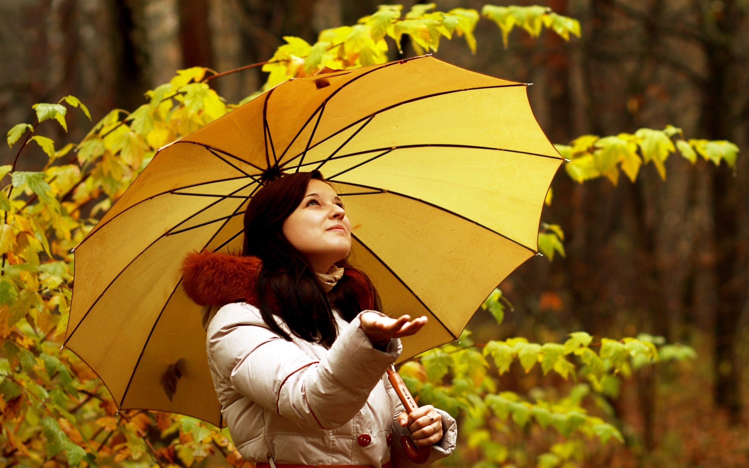 Главная роль осень. Женщина осенью. Девушка с зонтиком. Девушка с зонтиком осень. Девушка в осеннем лесу.