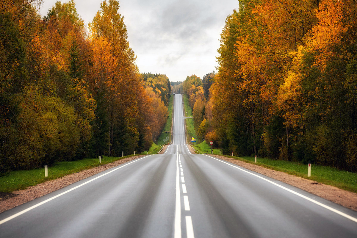 Красивая дорога видео. Трасса Сортавала Золотая осень. Осенняя дорога. Красивая дорога. Дорога в осень.