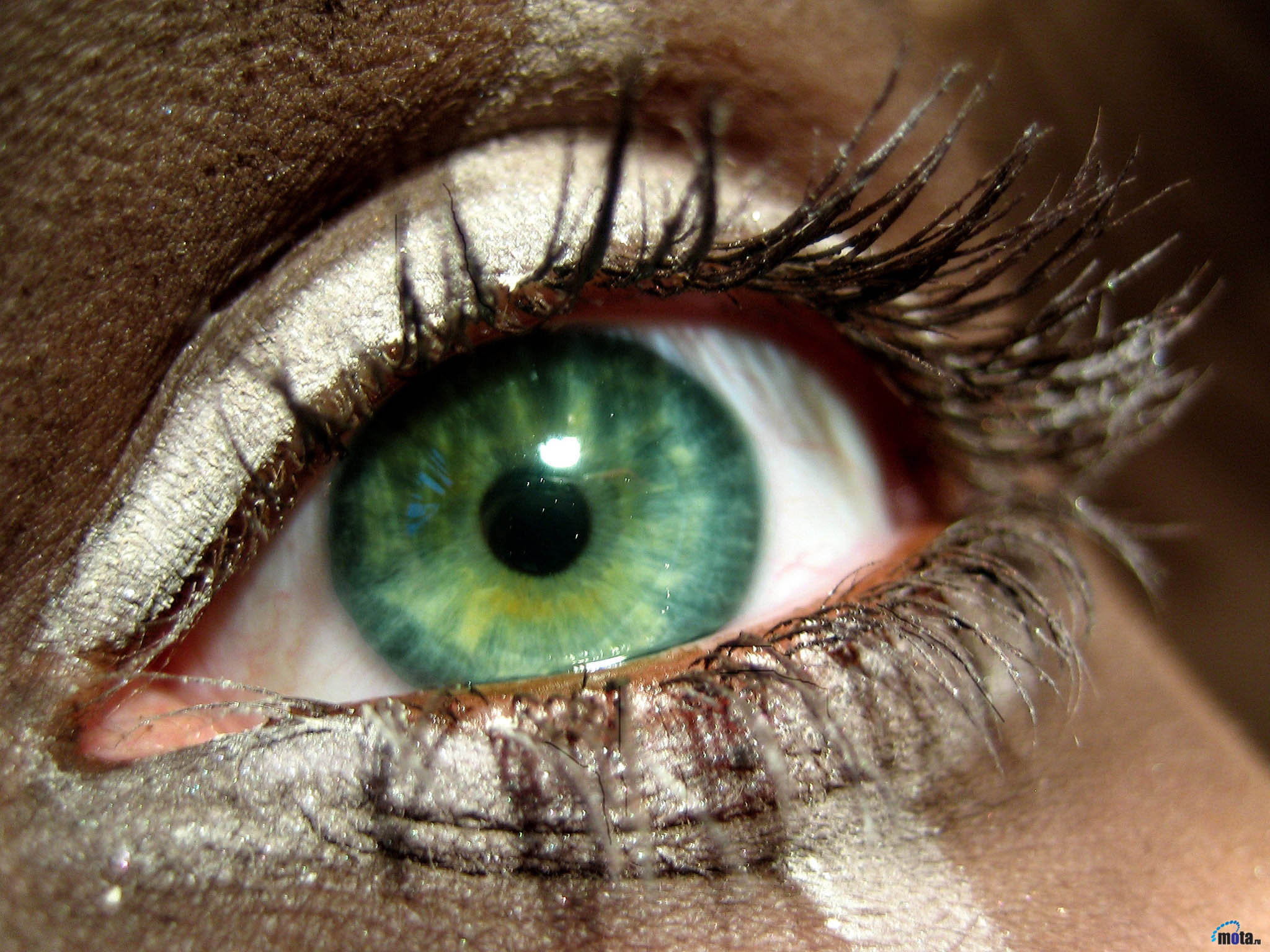 Зеленые глаза на свету. Красивые глаза. Зелёные глаза. Изумрудные глаза. Изумрудный цвет глаз.