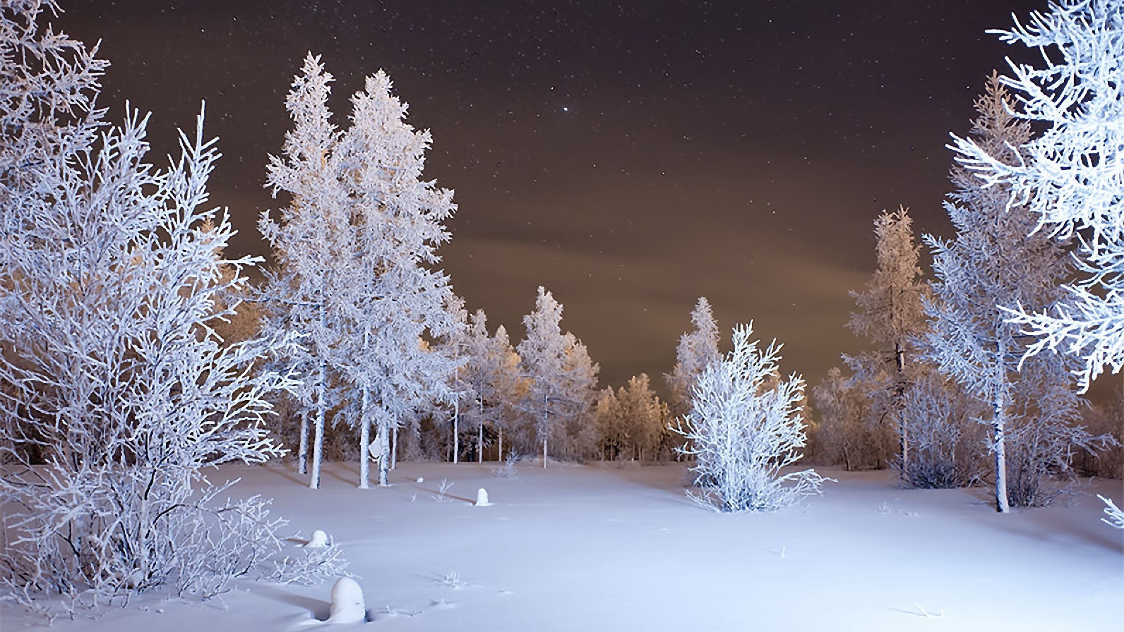 Снег живет предложение. Зимняя природа. Зимний вечер. Зимний лес вечером. Зимний ночной пейзаж.