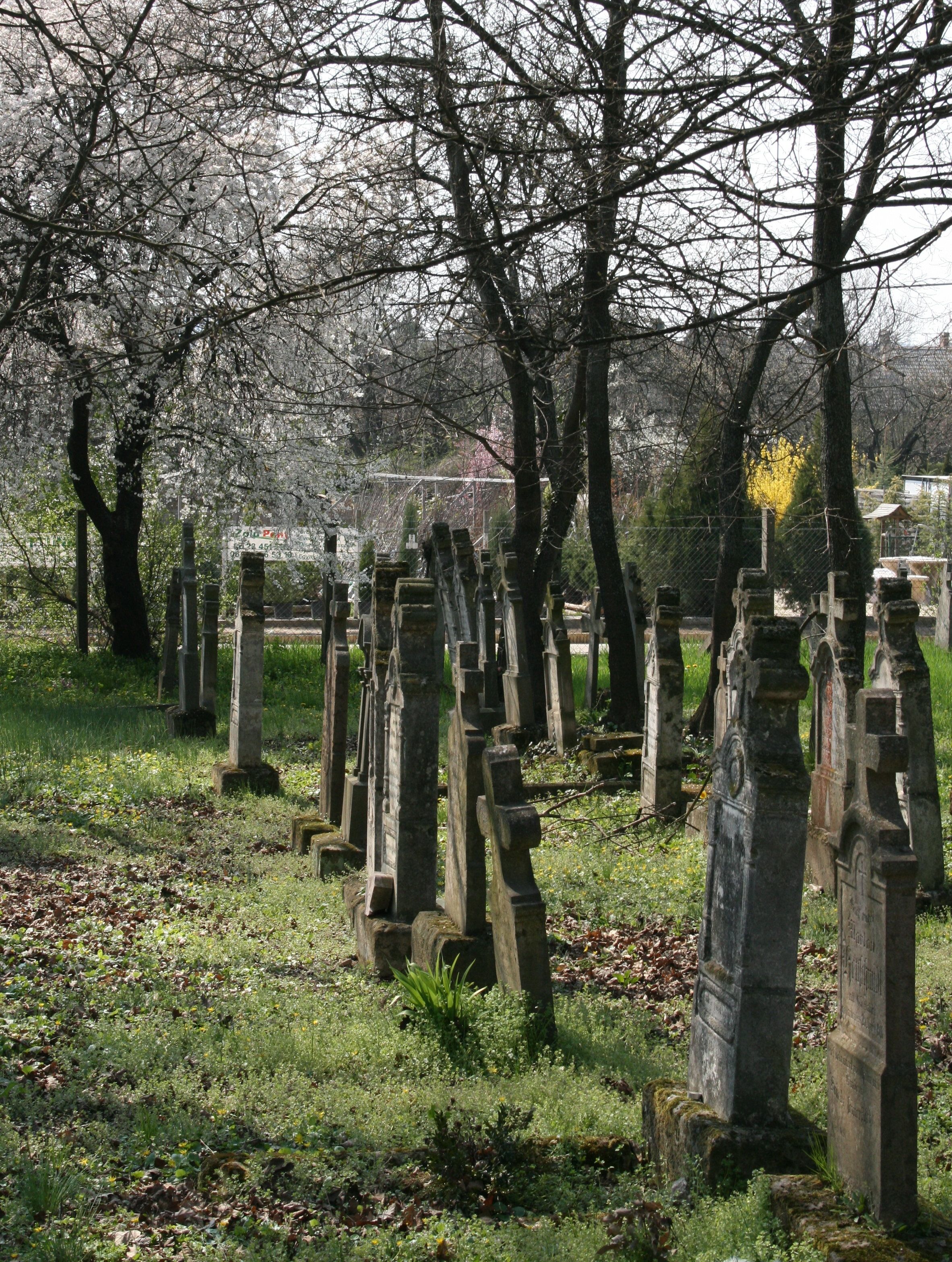 Фото старых могил. Кладбище. Старинное кладбище. Древнее кладбище. Старые могилы.
