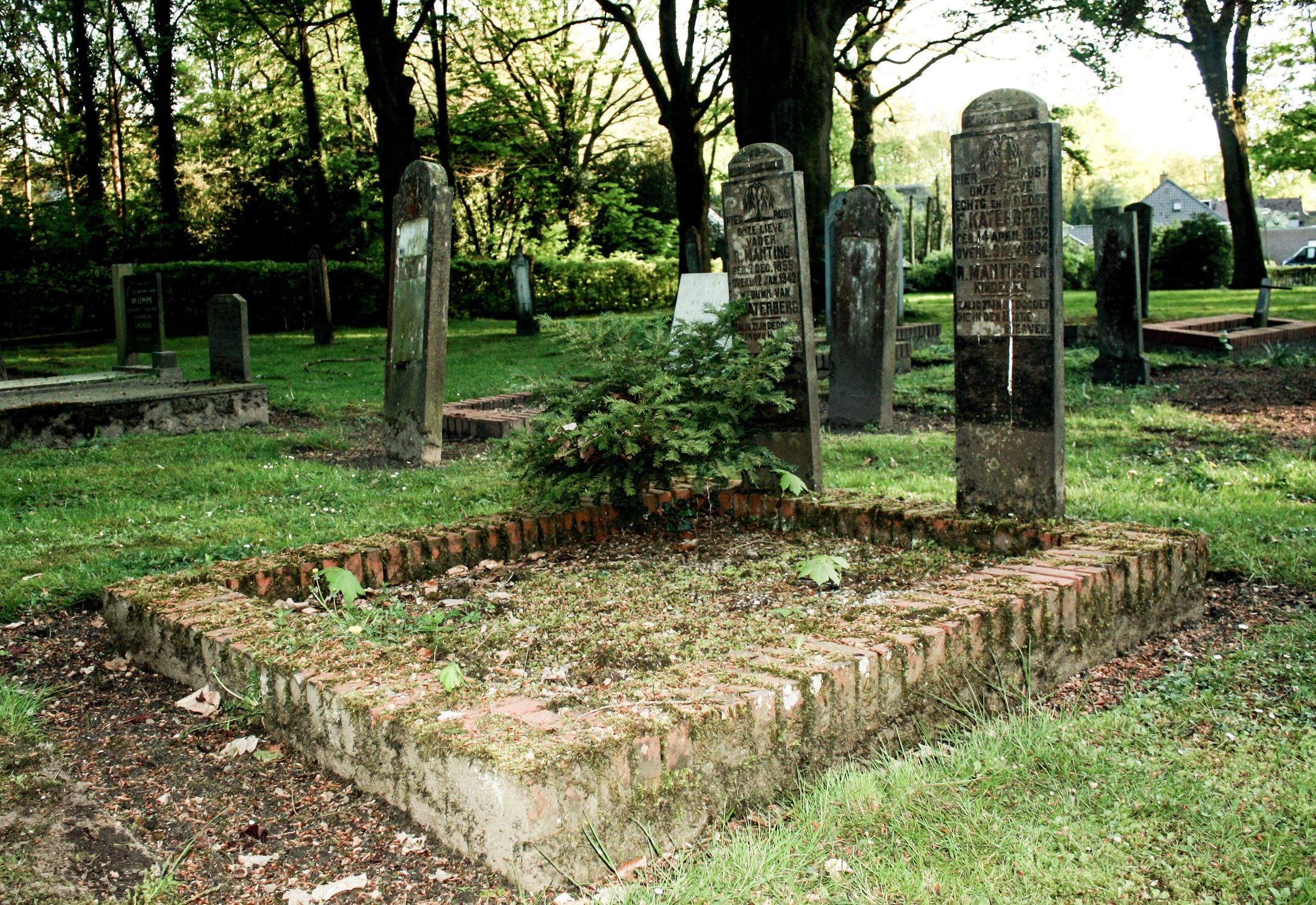 Фото старых могил. Шотландия, Эдинбург кладбище с призраками. Старинные могилы. Шотландские старинные кладбища. Самая Старая могила.