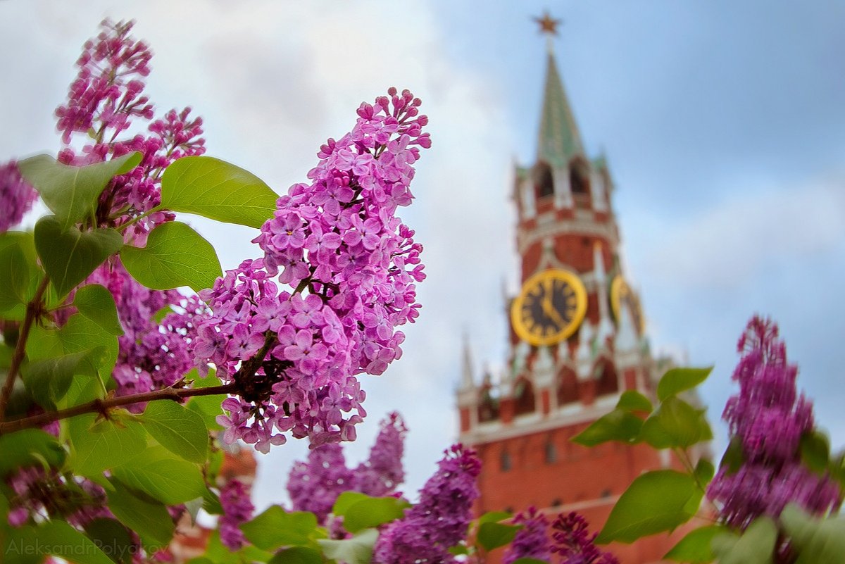Москва весной