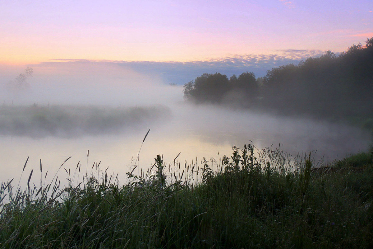 За деревней расстилается широкое поле. Туман речка Кострома. Туман над рекой в Ямаровке. Туман над рекой. Туман на реке.