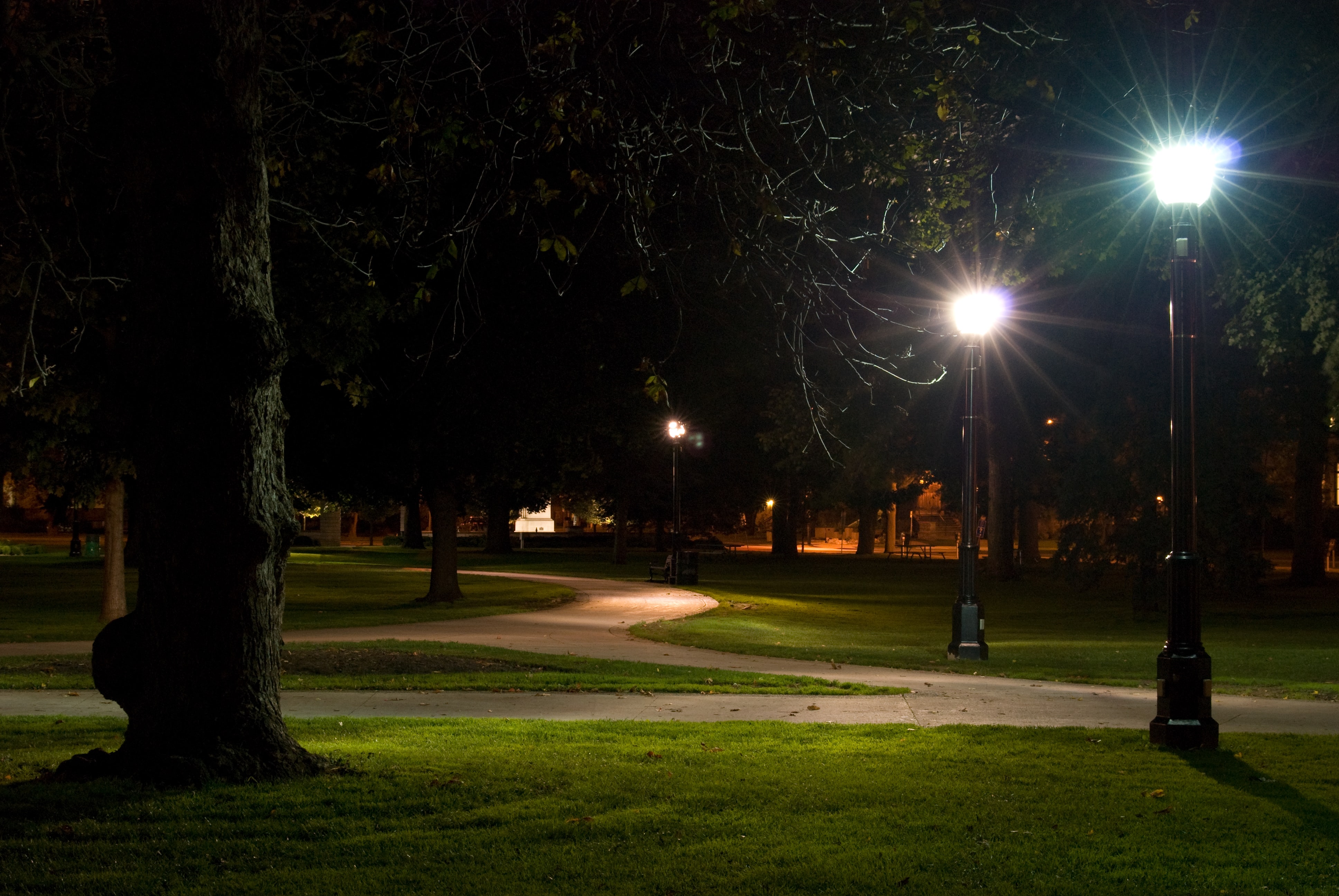 Вечером через парк. Ночной парк Константиновка. Ростокинский парк ночью. Пгт Афипский ночной парк. Полюстровский парк ночью.