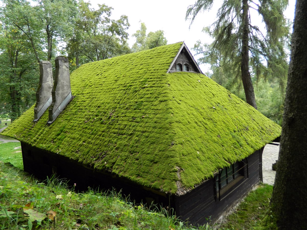 Травяные крыши - 36 фото