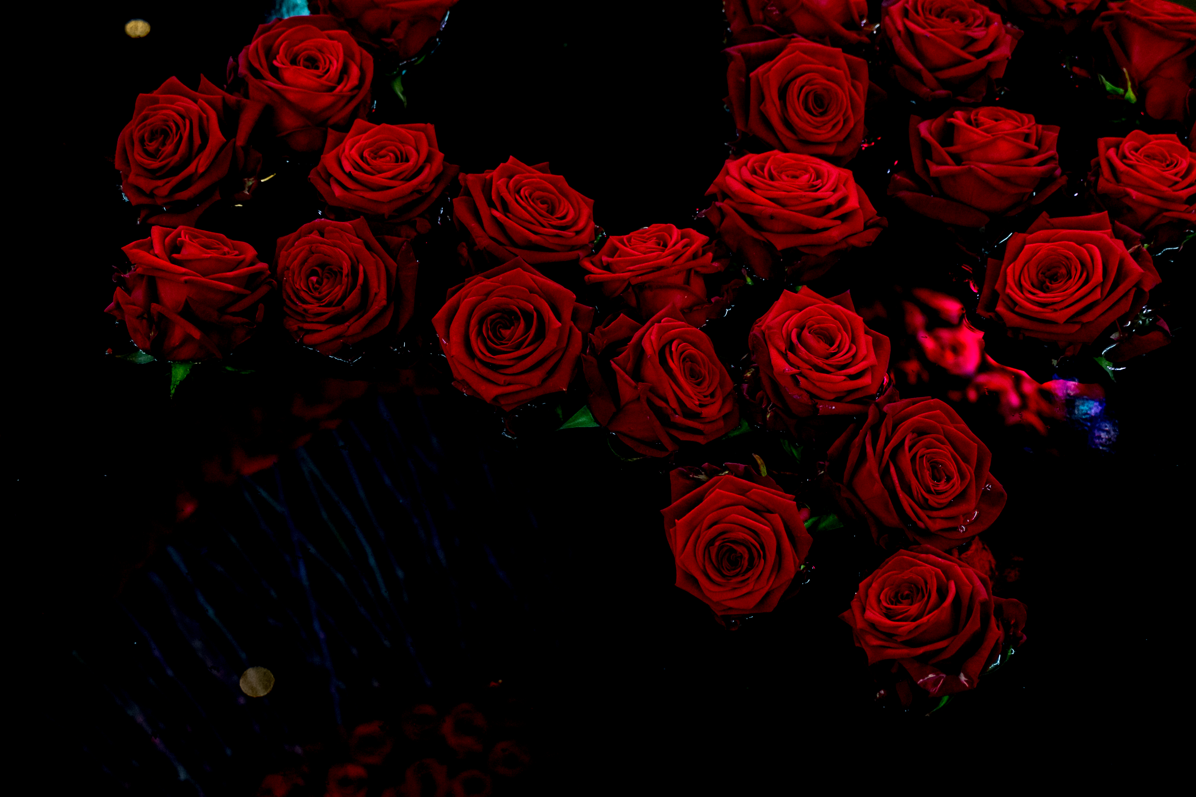 Футаж букет цветов. Букет цветов на черном фоне. Букет роз на темном фоне. Букет роз на черном фоне.
