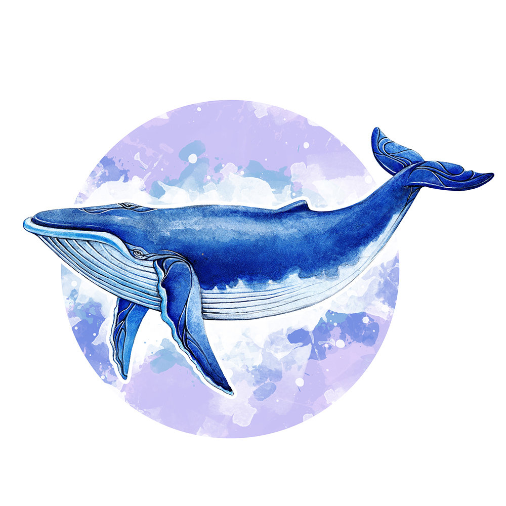 Нарисованные киты