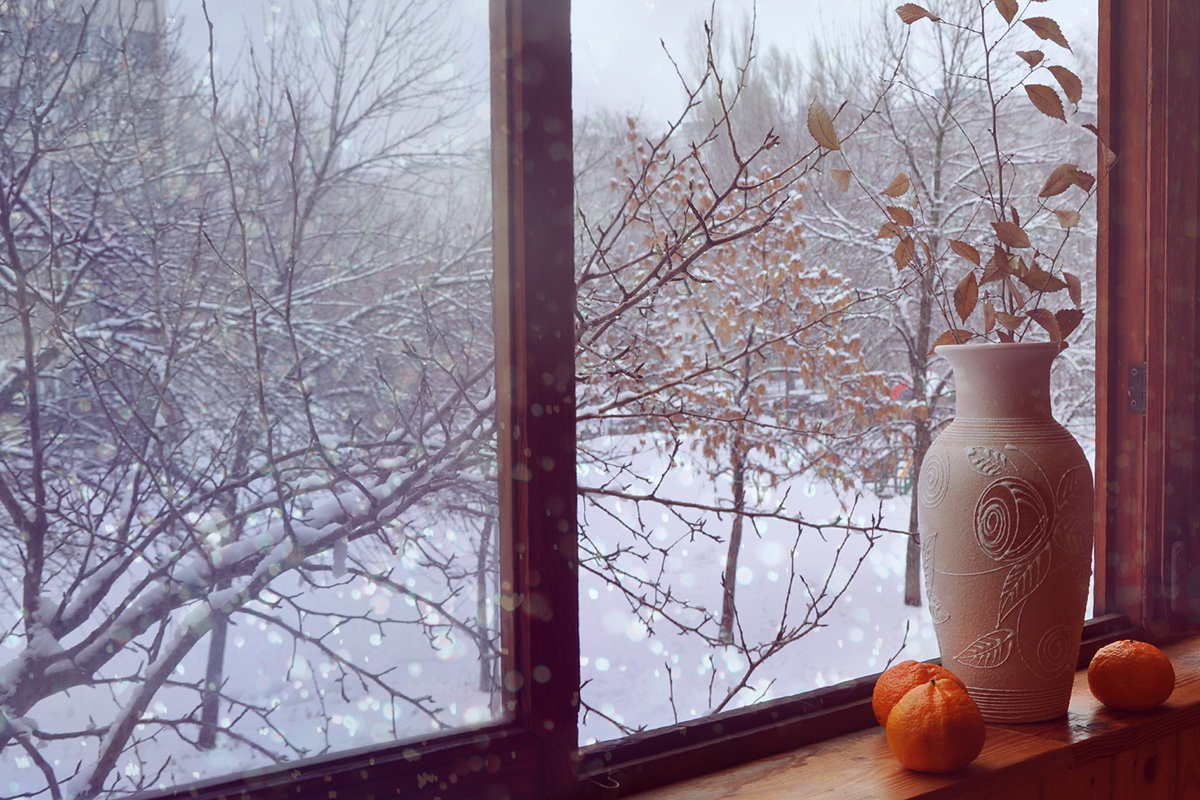 Зимний день за окном