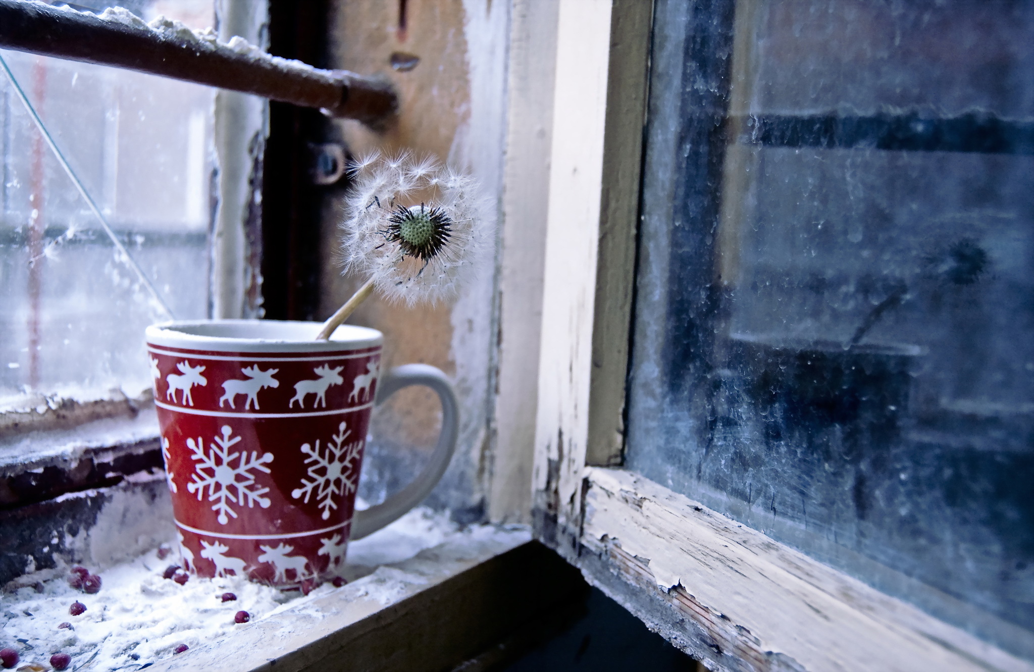 Утро туманно украшена снежинками книги. Зимнее окно. Окно снег. Снег за окном. Кружка чая на подоконнике.