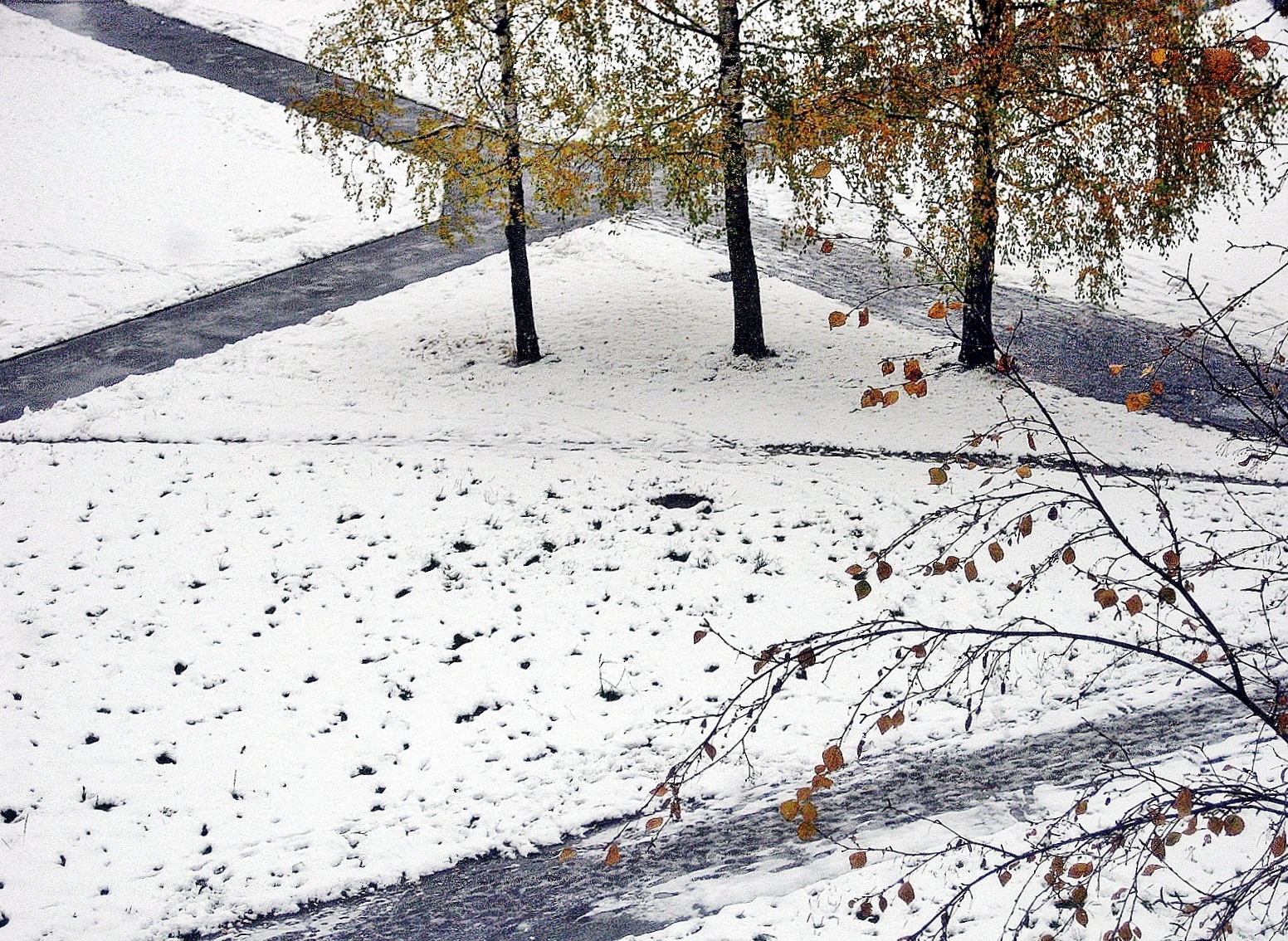 Толстого 1 снег. Первый снег. Ноябрь снег. Первый снег вид из окна. Первый снег за окном.