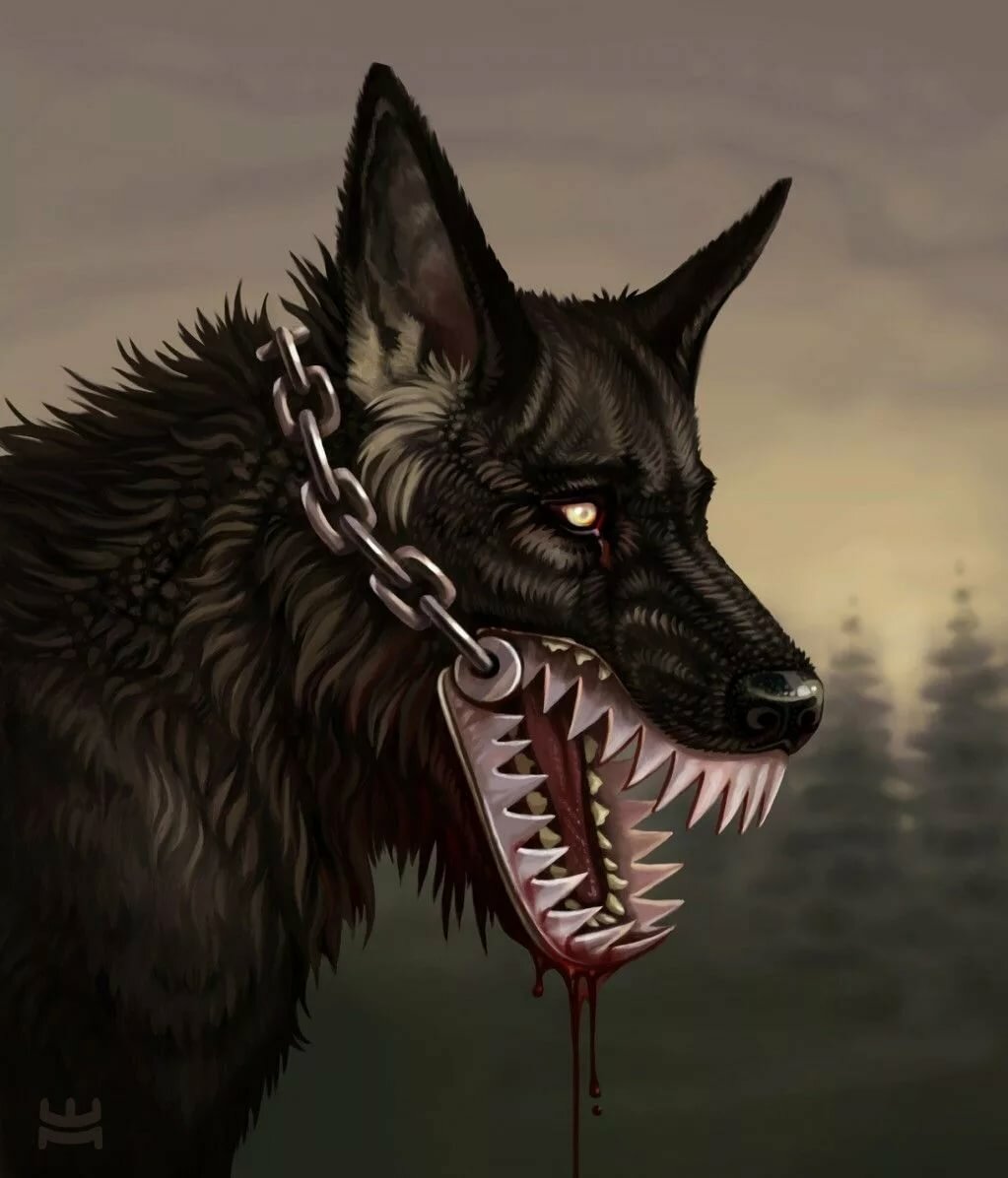 Злые волки