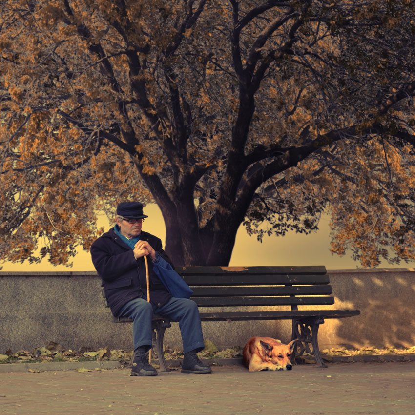 Группа сентябрь женщина курит на лавочке. Люди на скамейке в парке. Мужчина в парке на скамейке. Старики на лавке. Осень одинокий человек.