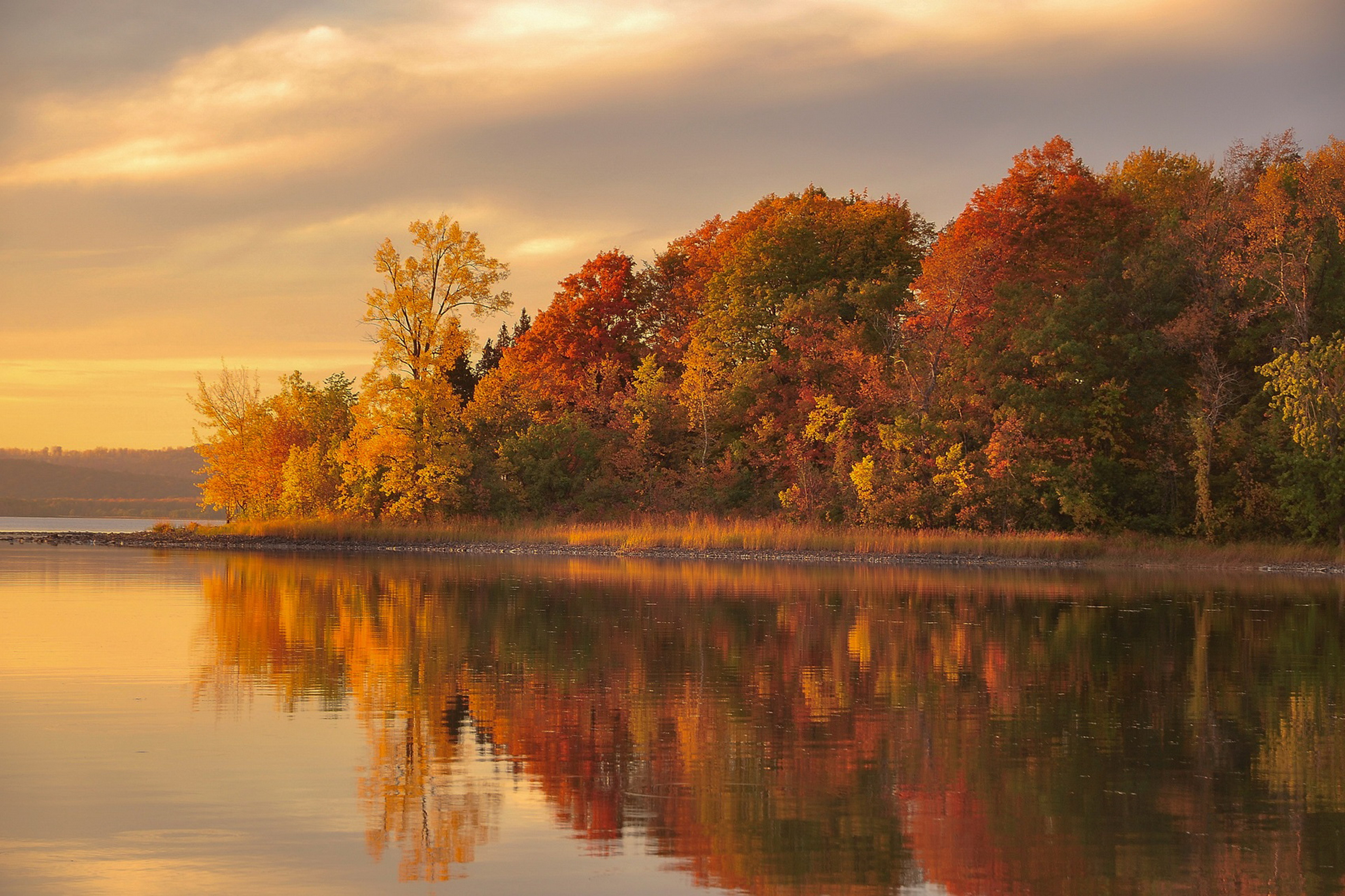 Осенний пейзаж. Золотая осень озеро природа река лес. Река осень Тверская область. Золотая осень озеро. Осень озеро.