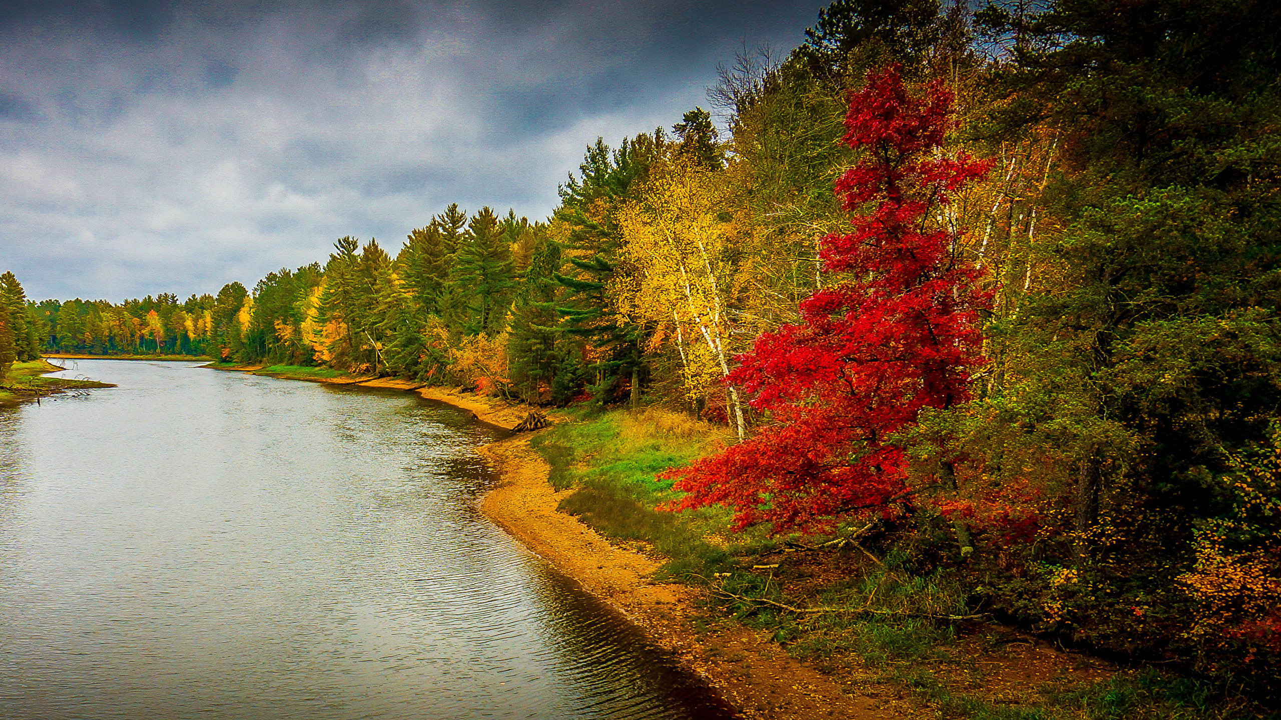 Природа россии на рабочий стол. Осень река. Осень лес река. Осенняя река. Пейзаж осени.