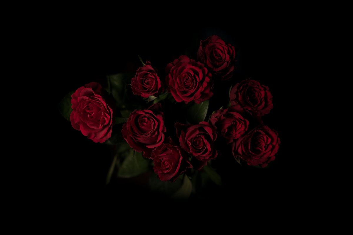 Розы на черном фоне