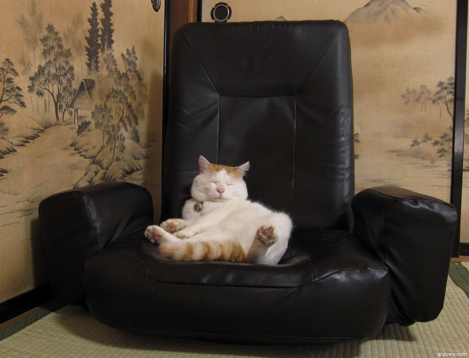 Расслабленная кошка. Кресло для кошки. Кот сидит на кресле. Котик в кресле. Кот на диване.