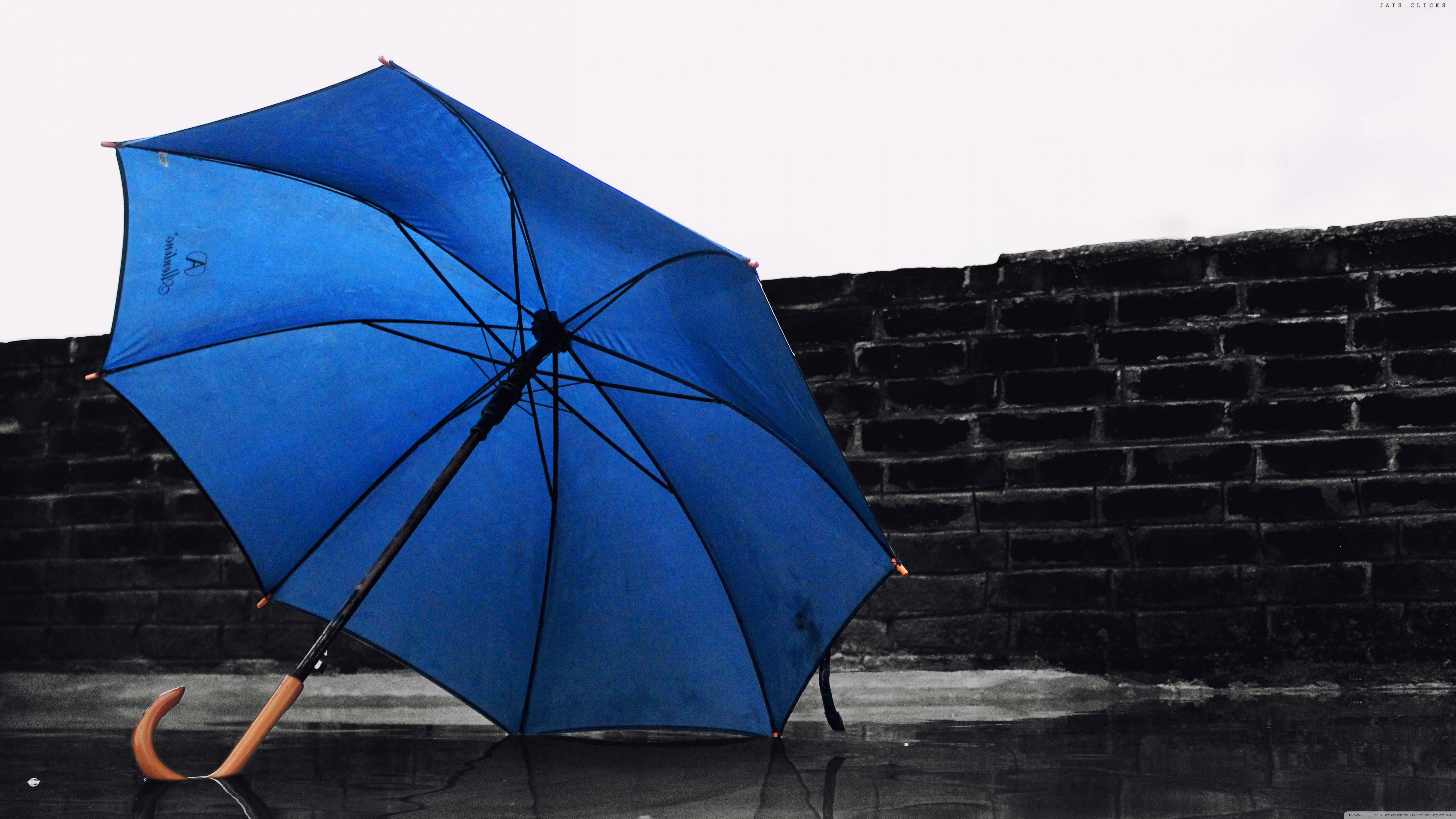 Одолжил ей зонтик. Зонтик. Зонт черный. Зонт синий. Красивые зонтики.