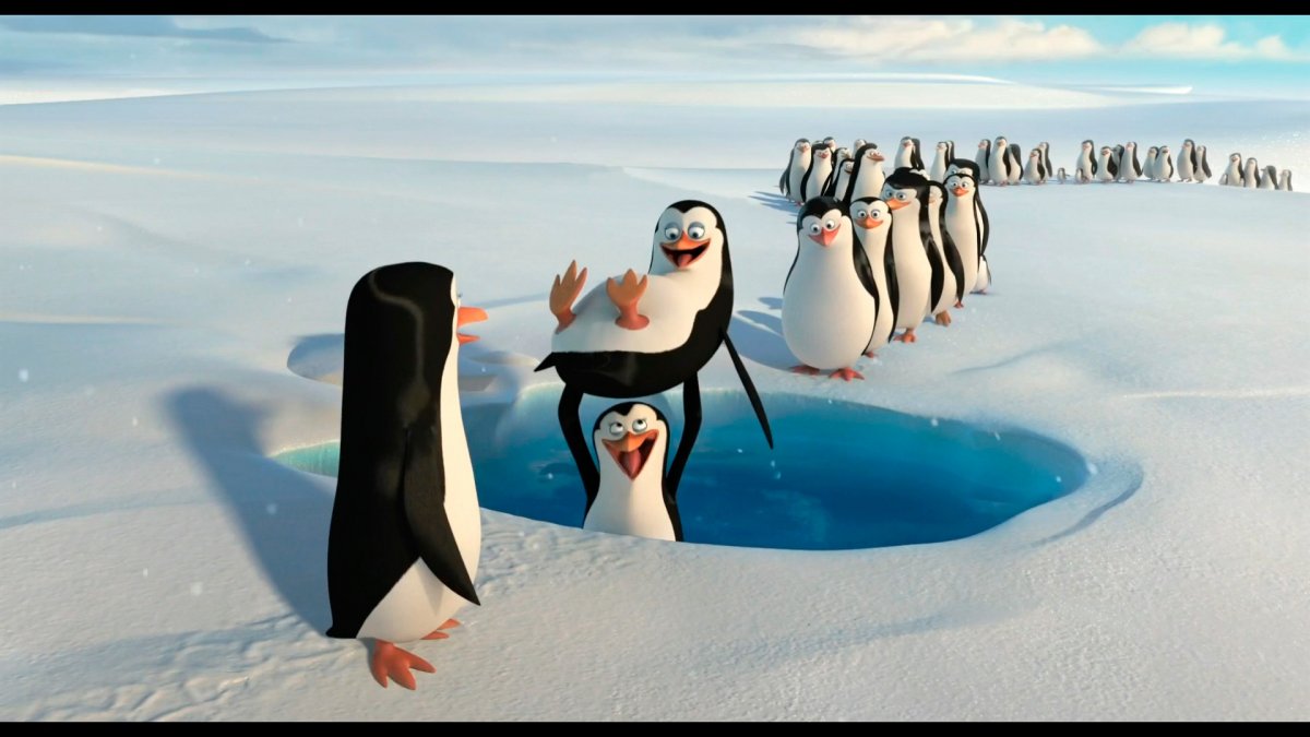 Постеры к мультфильму "Четыре пингвина"