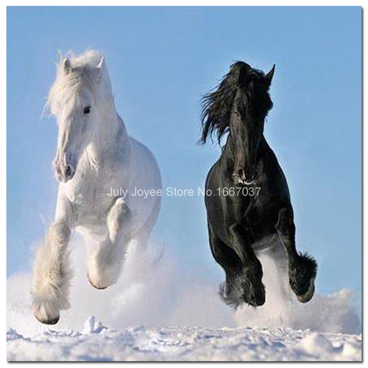 Белые кони - 25 фото
