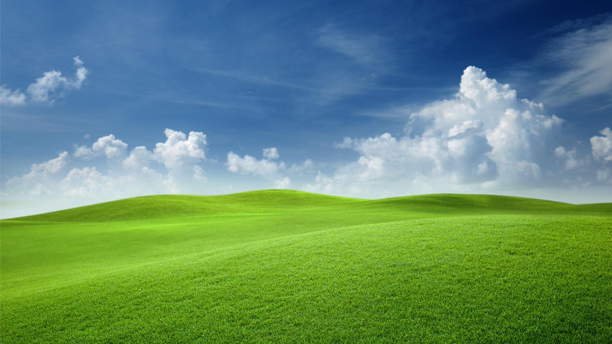 Зеленое поле фон - 40 фото