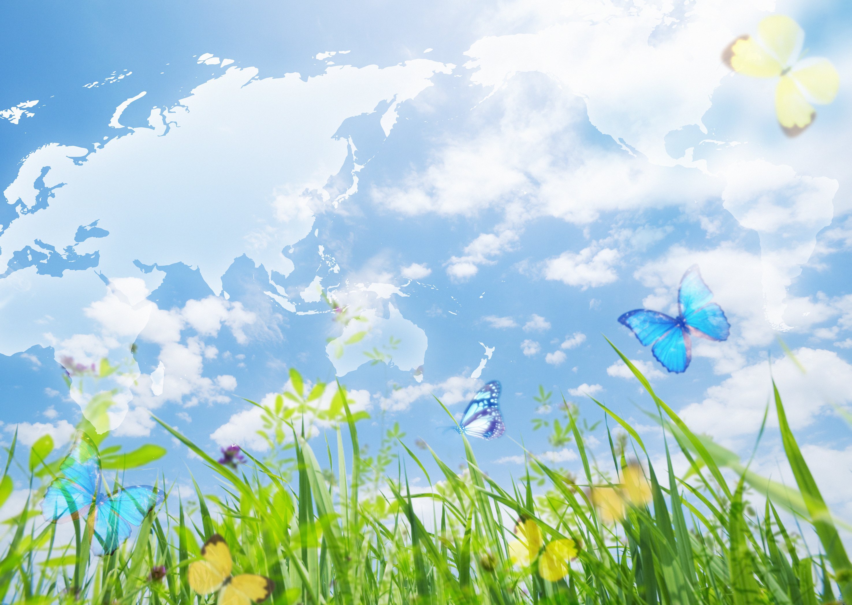 Про лета бабочка. Фон бабочки. Летний фон для презентации. Летний пейзаж. Весенний фон.