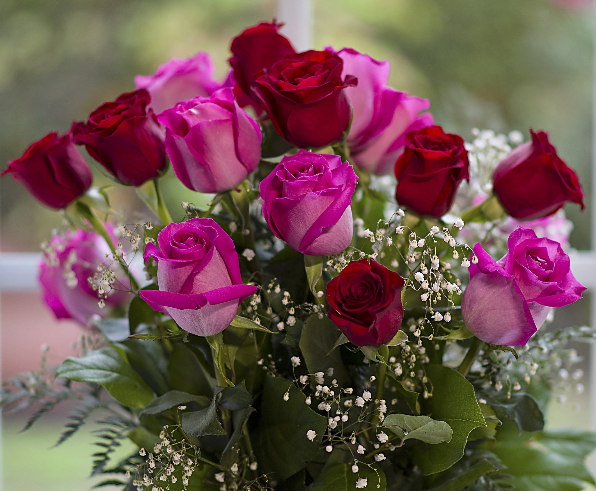 Цветы Живые Розы Букеты Фото