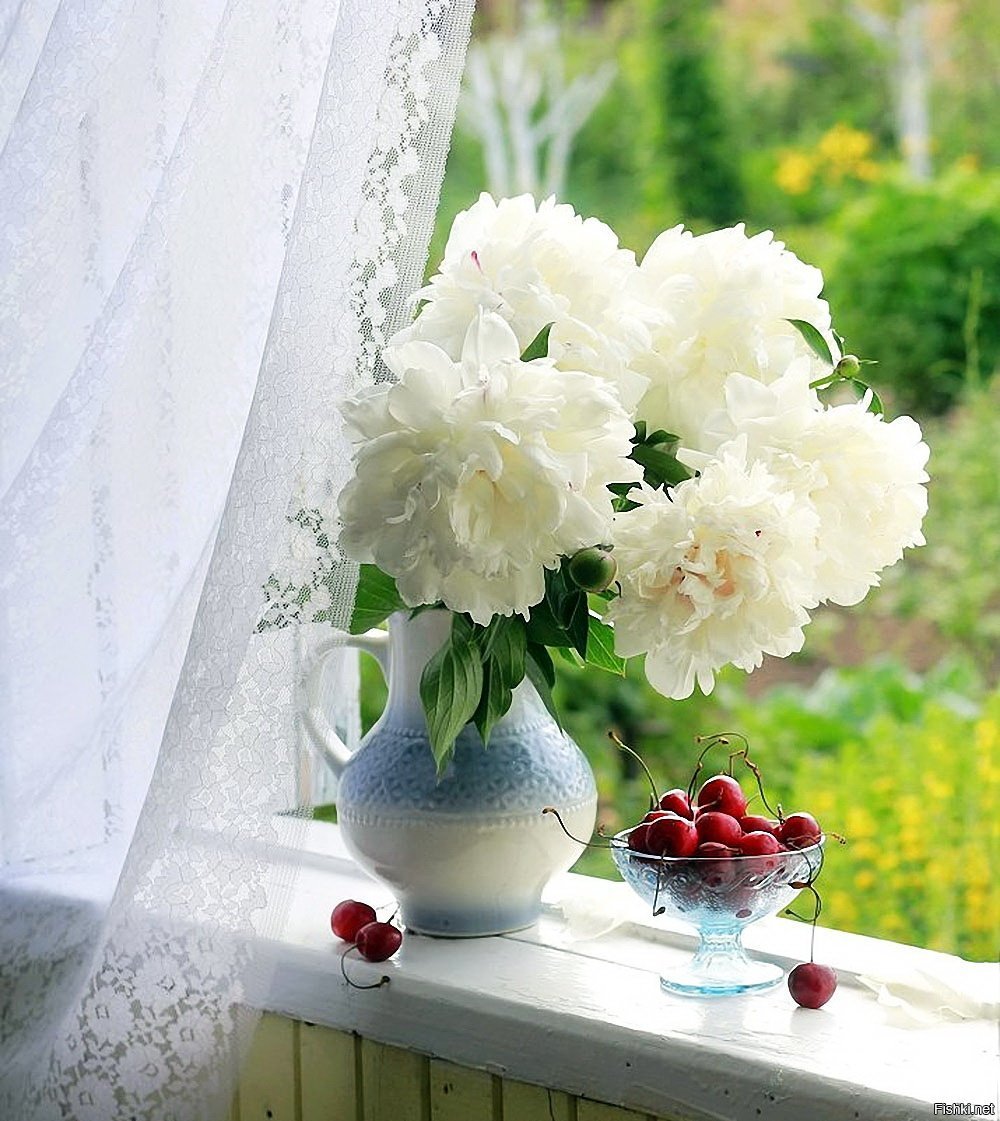 Светлое нежное доброе. Цветы на окне. Букет цветов на окне. Цветы в вазе на окне. Летние цветы на окне.