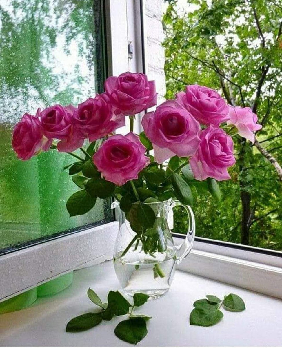 Подарить цветы в окно. Цветы на окне. Красивый букет в вазе. Букет цветов на подоконнике.