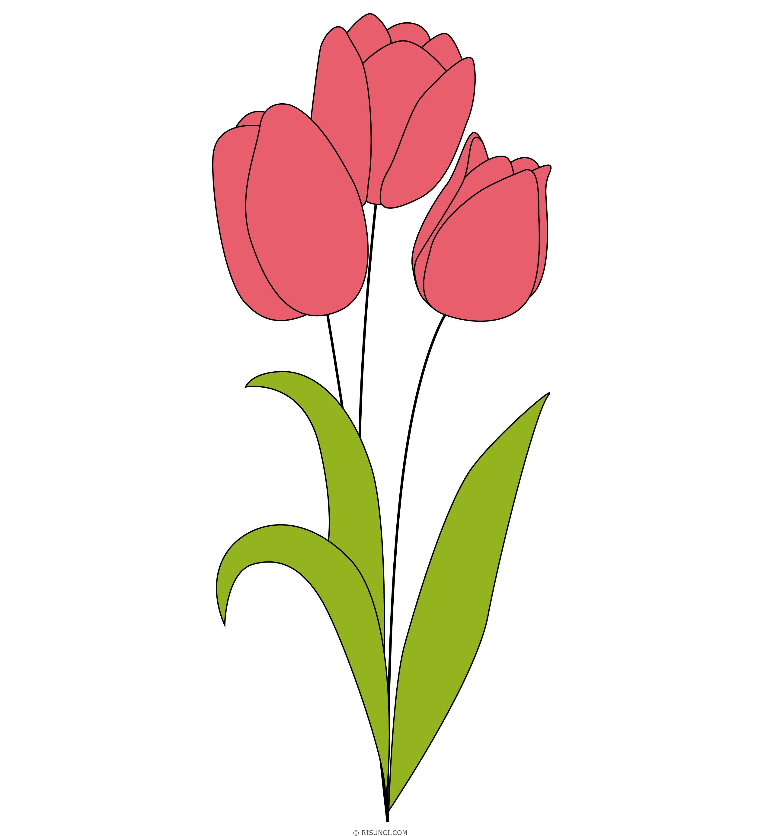Распечатать цветок тюльпан для вырезания. Рисование тюльпанов. Тюльпаны для срисовывания. Тюльпан для детей. Тюльпан рисунок для детей.
