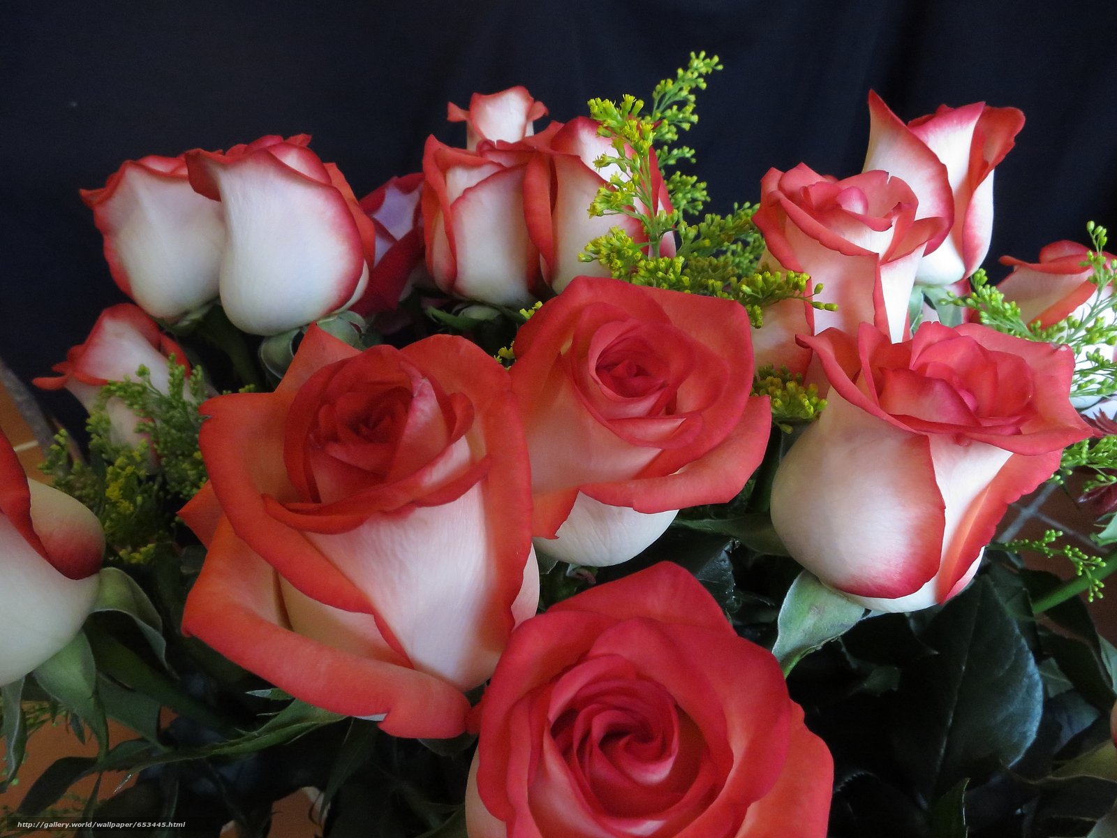 Красивые розы для красивой женщины картинки. Роскошные цветы. Красивый букет роз. Шикарные цветы. Цветы для любимой.