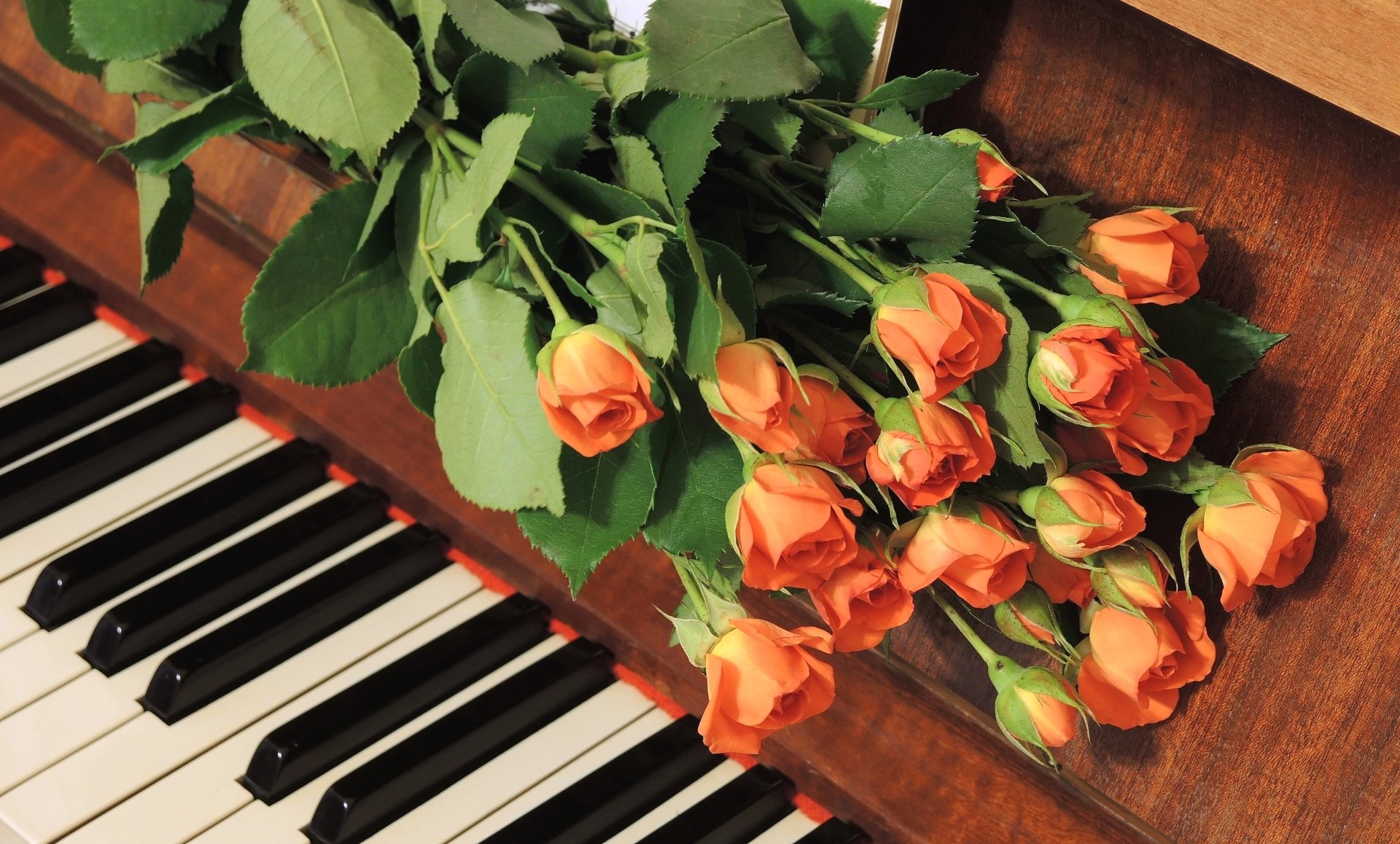 Включи песню цветы. Рояль с цветами. Музыкальный букет. Цветы на рояле. Музыкальные инструменты и цветы.