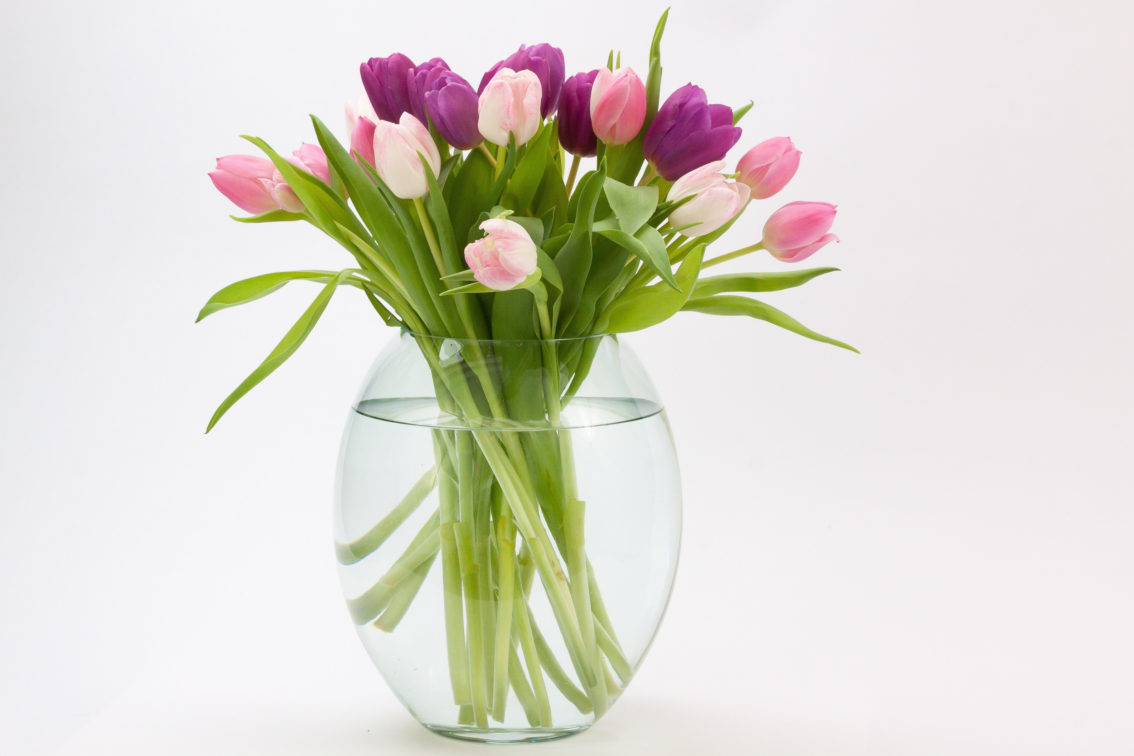 Как часто менять воду тюльпанам в вазе. Весенние цветы v vaze. Ваза с тюльпанами. Красивый букет в вазе. Цветы в прозрачной вазе.
