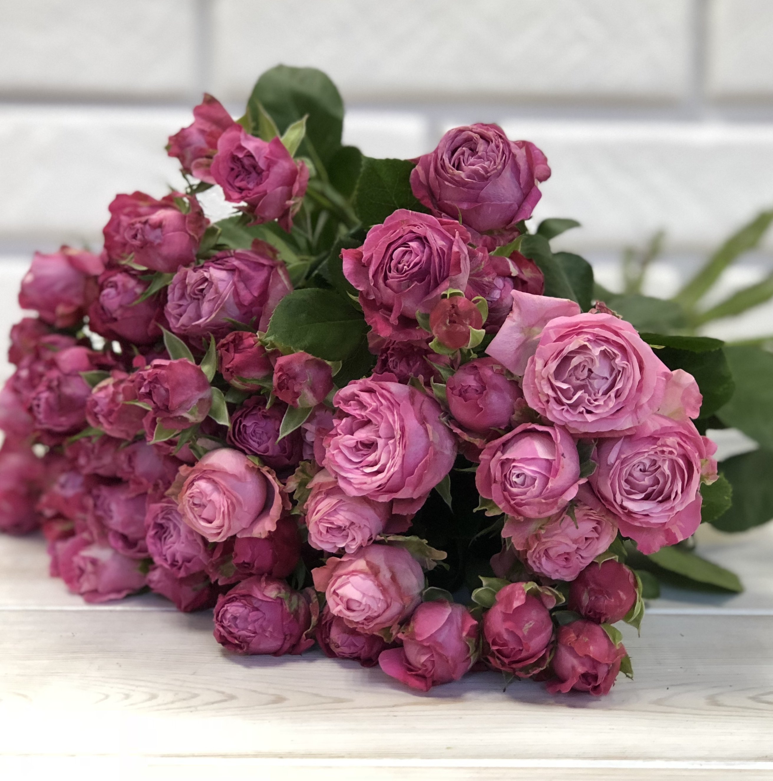 фиолетовые пионовидные розы