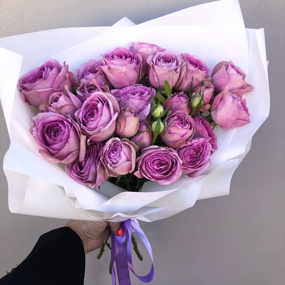 Фиолетовые пионовидные розы цветы купить в ульяновске адреса