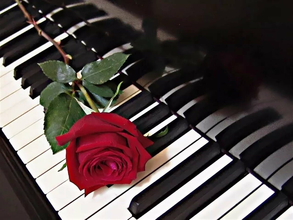 На клавишах тургенева. Пианино с цветами. Рояль с цветами.