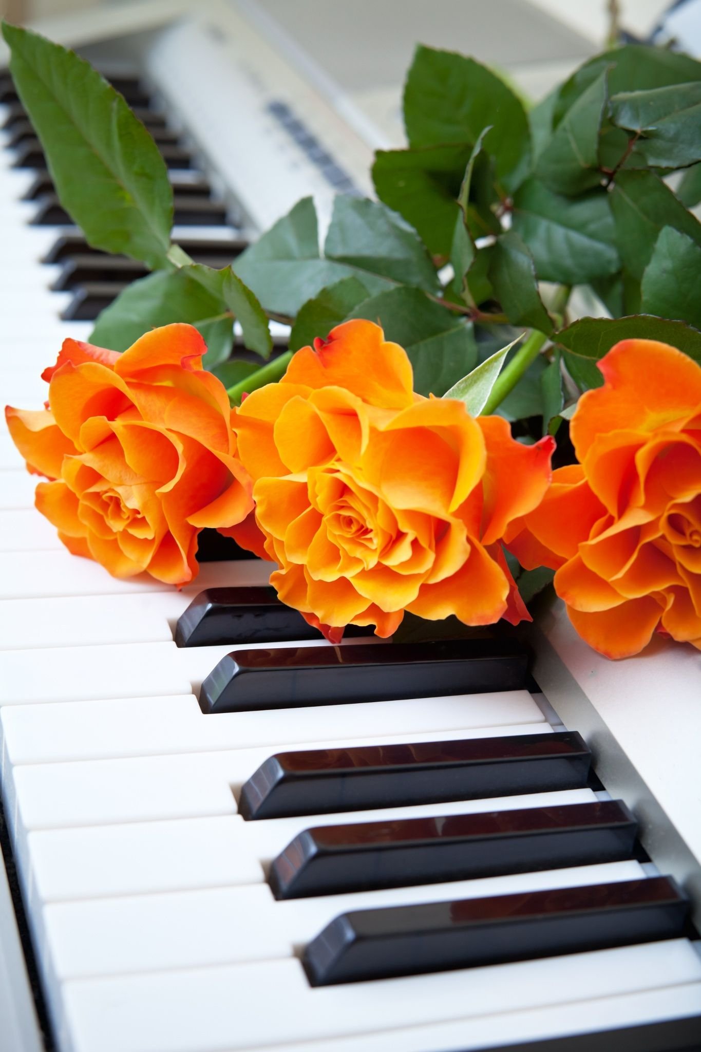 Включи песню цветы. Пианино с цветами. Музыкальные инструменты и цветы. Фортепьяно с цветами. Цветы на рояле.
