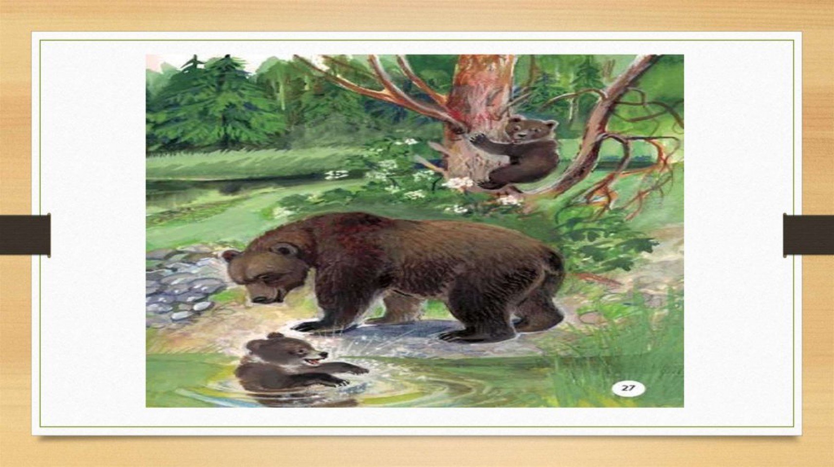 Бианки рассказы купание. Иллюстрации к рассказу купание медвежат Бианки. Картина купание медвежат Бианки.