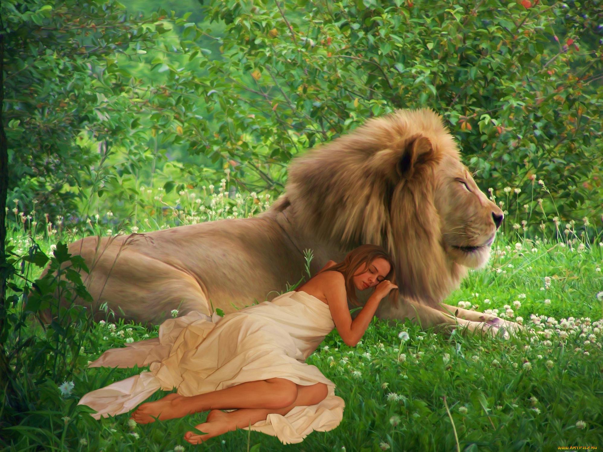 Как понравиться льву. Девочка и Лев. Фотосессия со львом. Девушка обнимает Льва. Девочка обнимает Льва.