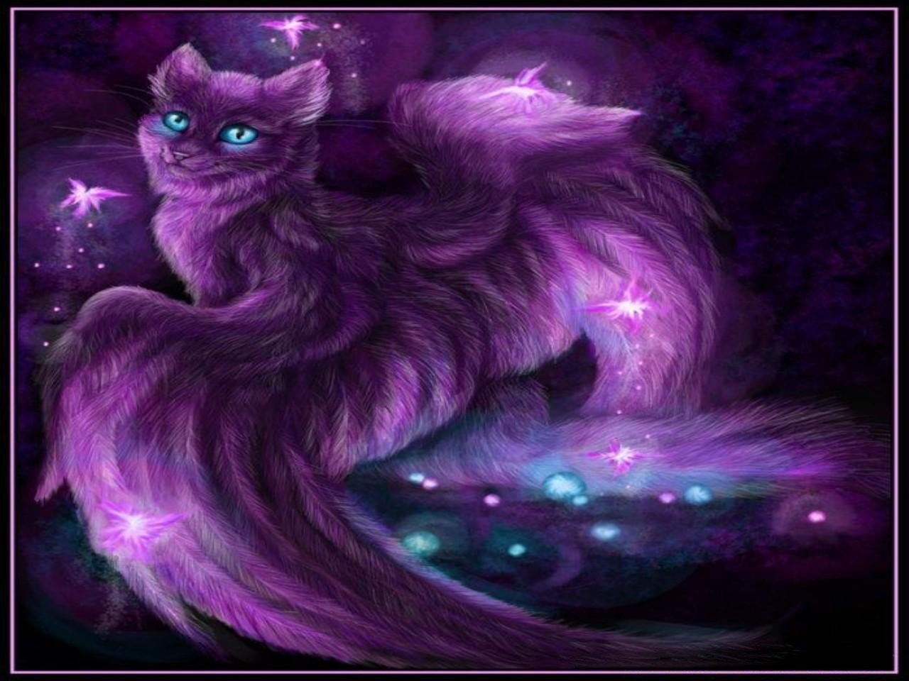 фиолетовые кошки фото