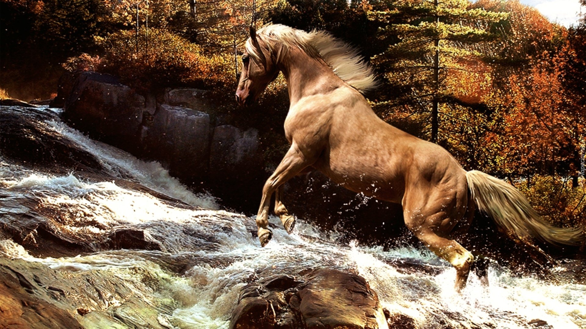 Лошади и водопад