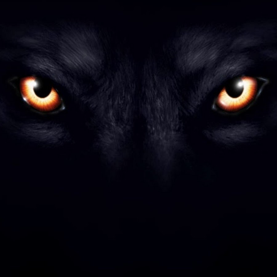 фанфик глаза пантеры светятся в ночи фото 74