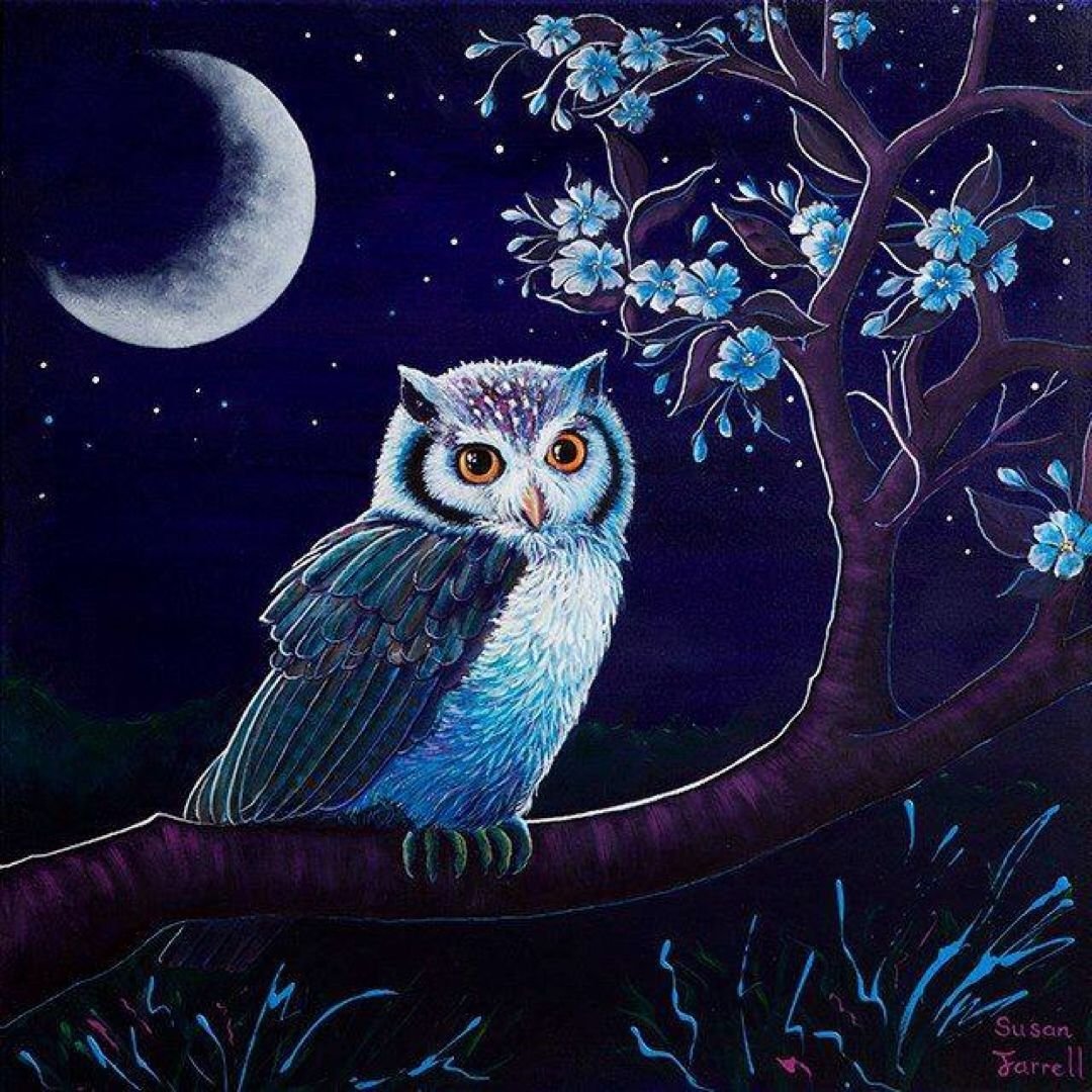 Песни ночных сов читать. Ночная Сова.(Night Owl).1993. Спокойной ночи Сова. Лунная Сова. Красивые рисунки Совы.