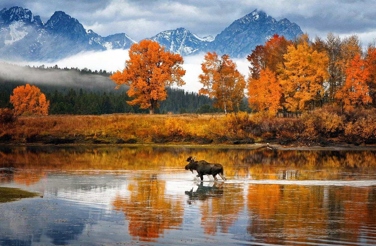 Красивые Осенние Пейзажи Природы Фото