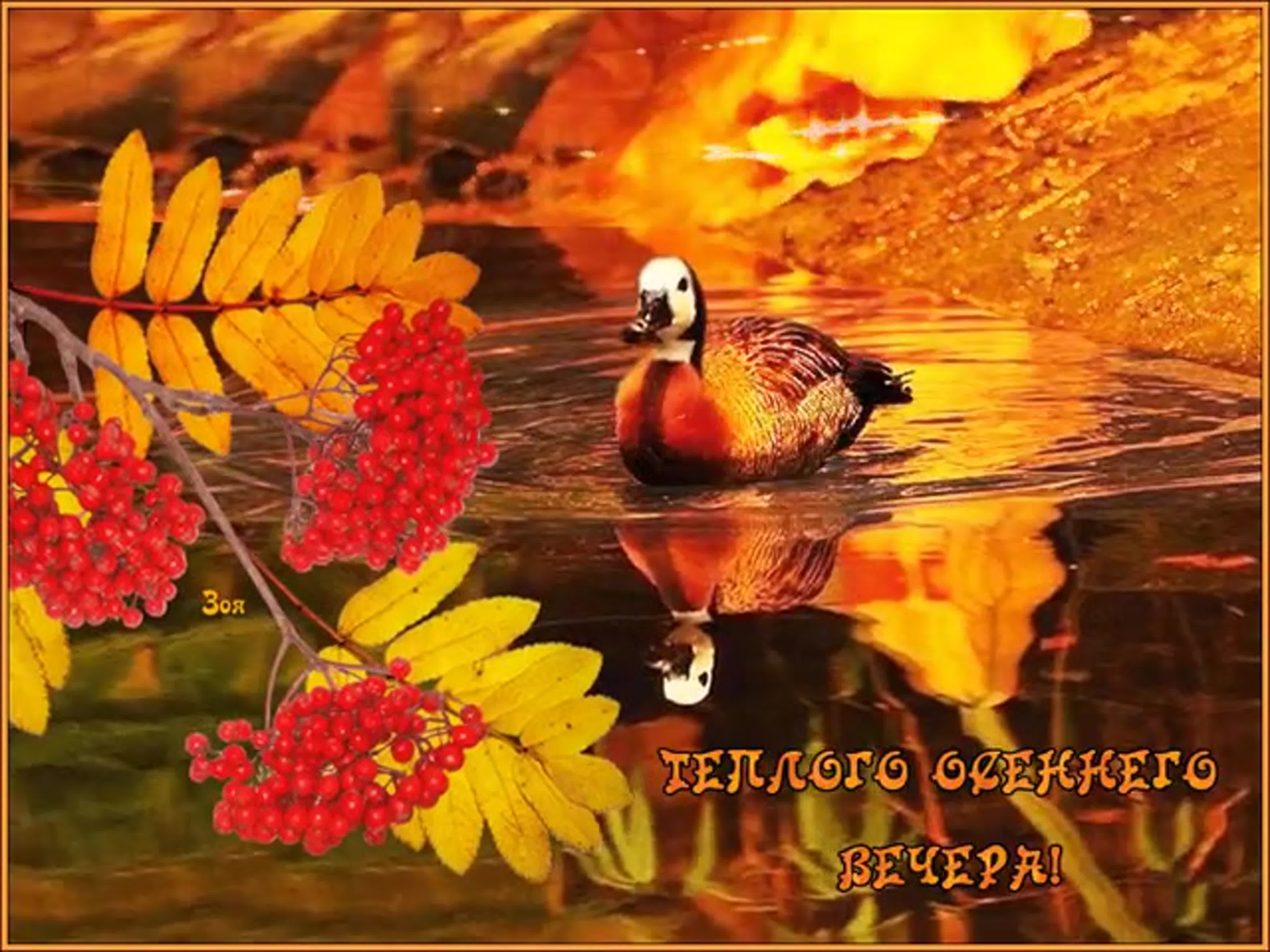 Добрый Осенний Вечер Друзья Картинки Красивые
