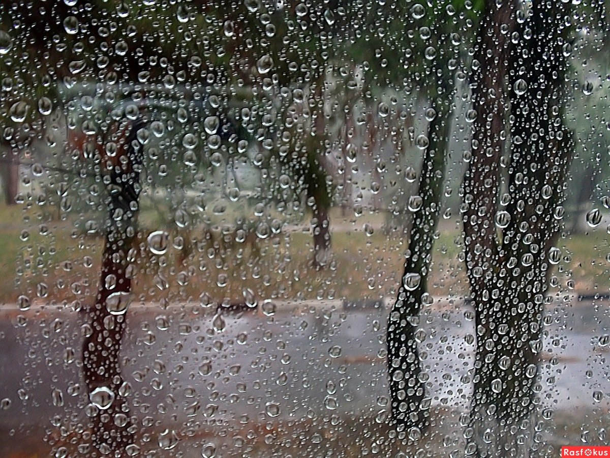 В окна стучали крупные дождевые капли. Дождь за окном. Дождь за окном фото. Дождливый день.