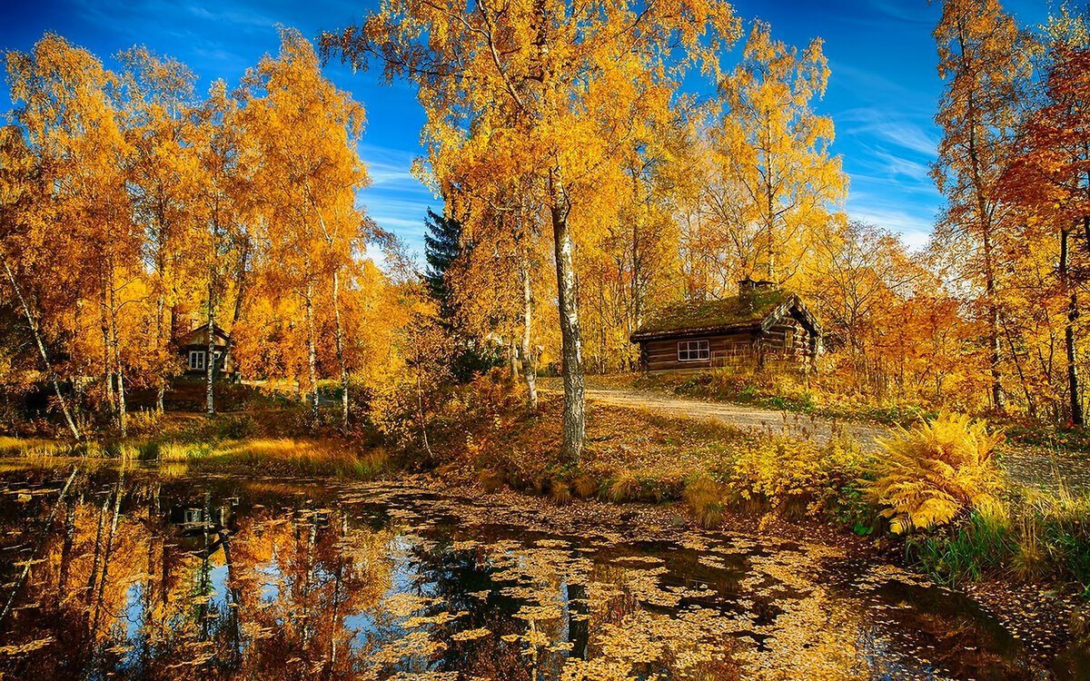 Фото Осенней Природы России